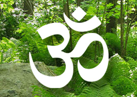 Area E Hinduism